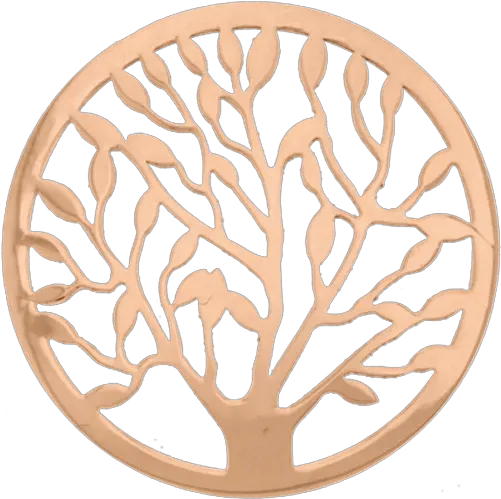 Webstore My Imenso Of Life Livets Tre Øredobber Gull Png Tree Of Life Logo
