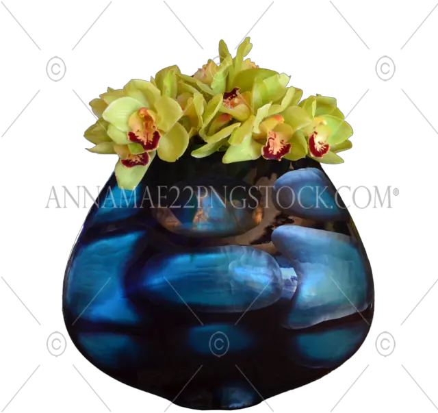 Png Stock Photos Png Flower Plant Png