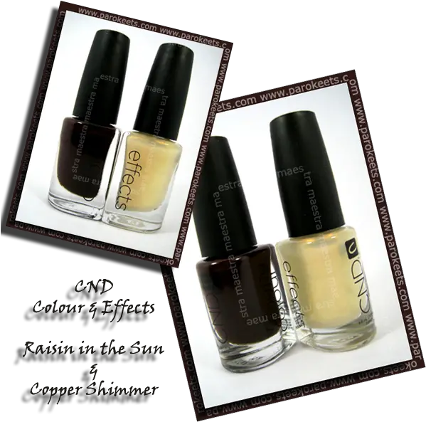 Download Colour Raisin In The Sun Effect Copper Shimmer Nail Polish Png Sunlight Effect Png