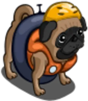 River Float Pug Farmville Wiki Fandom Happy Png Pug Icon