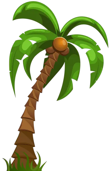 Cartoon Palm Trees Png