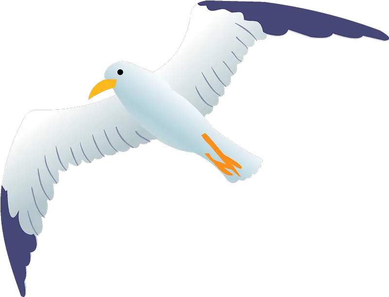 Sea Gull Clipart Albatross Png Download Full Size Seagull Clipart Png Seagull Icon
