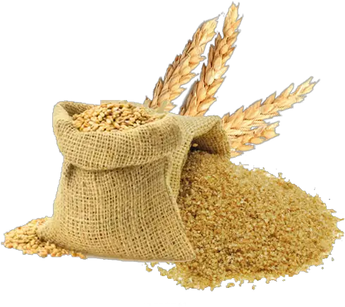 Durum Broken Wheat Gajraj Broken Wheat Png Wheat Png