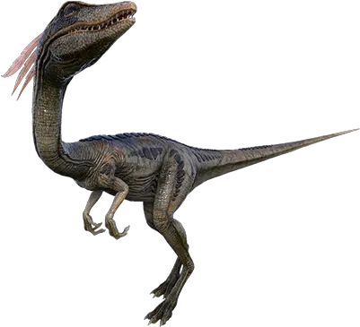 Velociraptor Transparent Ark Picture 2836084 Compy Ark Png Ark Survival Evolved Png