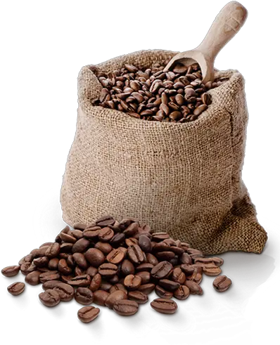 Coffee Bean Transparent Png Image Granos De Café Png Coffee Bean Transparent