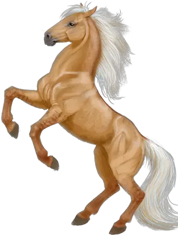 Horse Clicker Codeseekco Horse Drawing Images Colour Png Horses Png