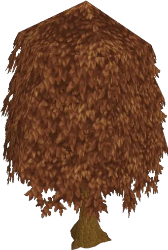 Maple Tree Runescape Wiki Fandom Hardwood Png Maple Tree Png