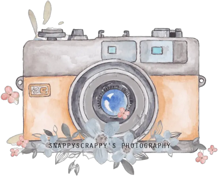 Animated Camera Png Free Image All Transparent Cute Camera Icon Png Camera