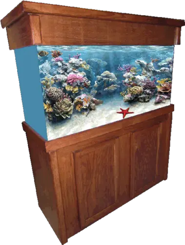 Aquarium Furniture Png Image Aquarium Fish Tank Png