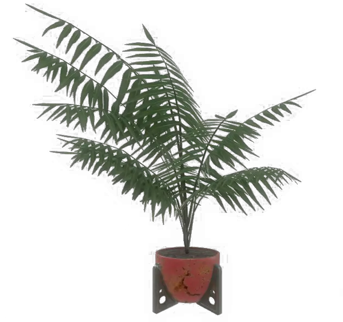 Potted Plant Plan Potted Plants Fallout 76 Png Potted Plants Png