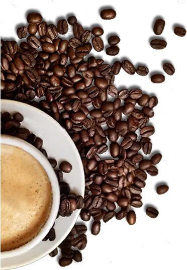 26 Coffee Images Hd Png Coffee Png