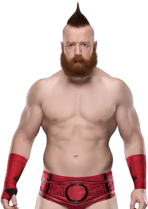 Sheamus Pro Wrestling Fandom Sheamus Wrestler Png Dolph Ziggler Png