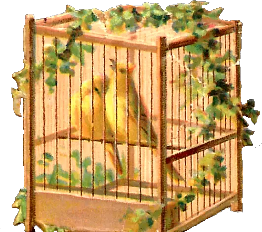 Cage Clipart Yellow Bird Cage Transparent Cartoon Jingfm Clip Art Png Bird Cage Png
