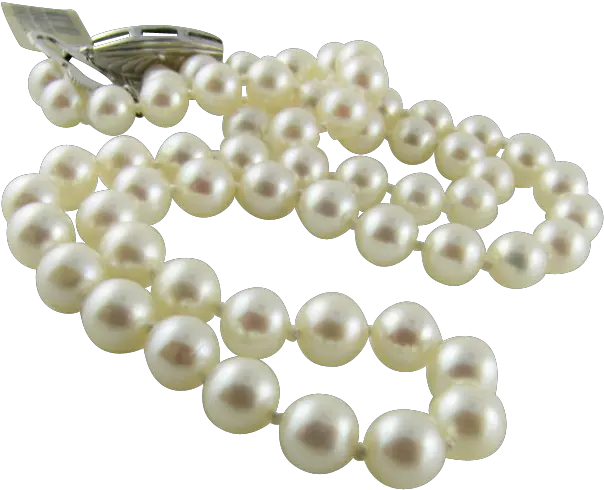 Download Hd Lovely Mikimoto Pearl Necklace Pearls Pearl Png Pearls Transparent Background