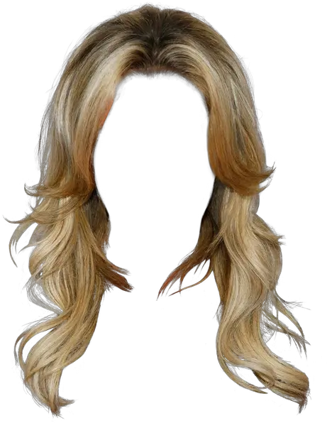 Wig Png Image Transparent Female Hair Png Wig Png