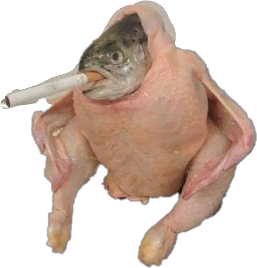 Dankmemes Dank Memes Chicken Fish Cigarette Png Memes Png