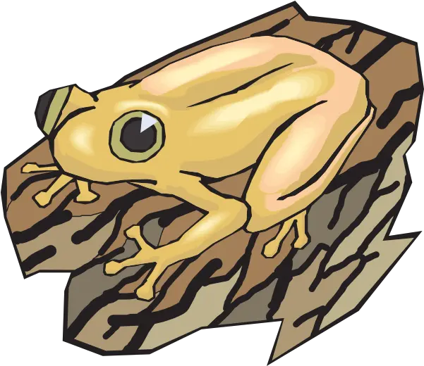 Frog Clipart Log Wood Frog Clipart Png Frog Clipart Png