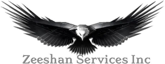 Avast Free Anti Virus Zeeshan Services Inc Just Move On Eagle Art Png Avast Tray Icon