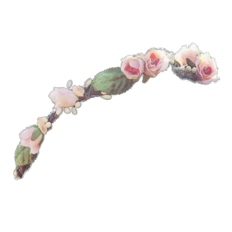 Tumblr Flower Crown Png Picture 2230370 Transparent Background Flower Crown Png Pink Crown Png