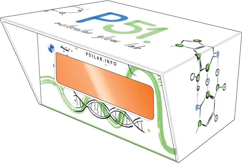 Orange Glow Png In P51 Helical Double Stranded Dna Diagram Orange Glow Png