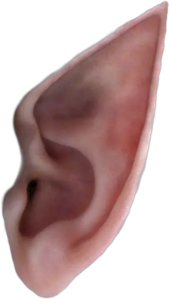 Ear Elf Desktop Wallpaper Clip Art Transparent Elf Ear Png Ear Png