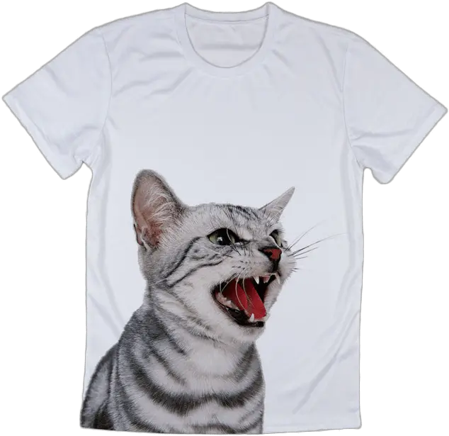 Summer Fashion Funny Cat T Shirts Mad Cat White Background Png Funny Cat Png