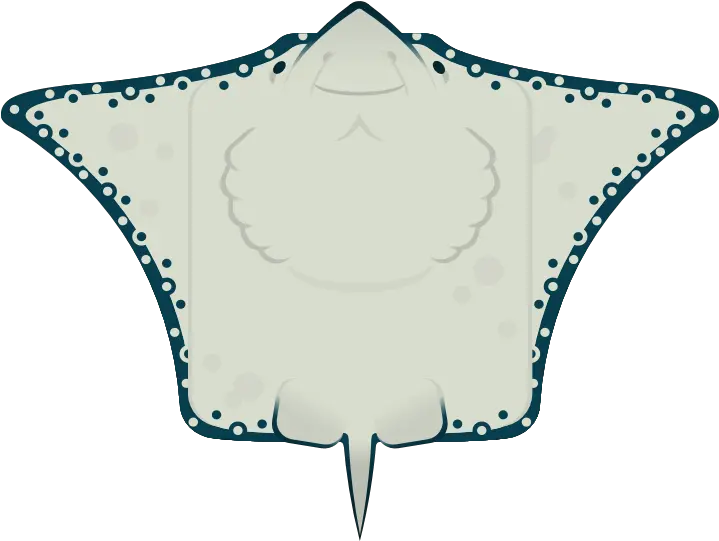 Why Eagle Ray Should Be Its Own Animal And Not A Skin Part Clip Art Png Eagle Transparent Background