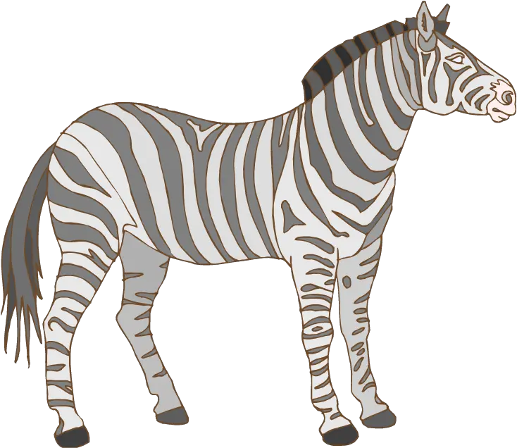 Free Zebra Transparent Download Clip Art Clip Art Png Zebra Transparent Background