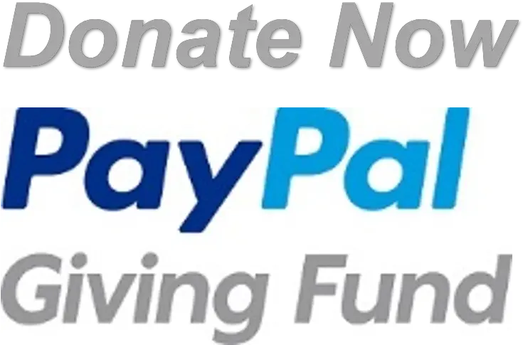 Paypal Giving Fund Non Profit Organisation Donation Paypal Png Paypal Png