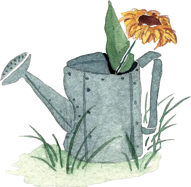 Download Hd Little Watercolor Watering Can With Sunflower In Watercolor Watering Can Clipart Png Watercolor Sunflower Png