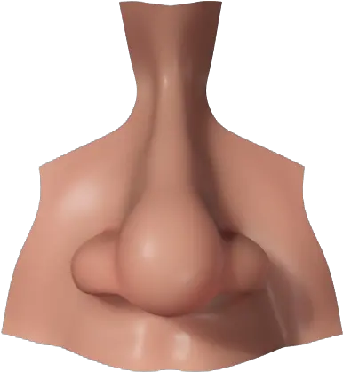 Nose Png Image Transparent Background Nose Png Nose Png