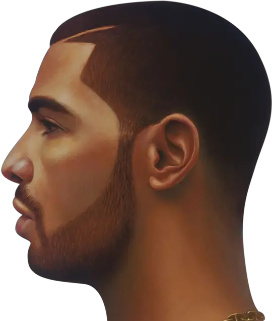 Download Drake Face Png Image Nothing Was The Same Drake Head Face Png