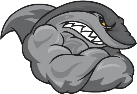 Download Muscle Clipart Shark Logo Shark Png Png Image Burleigh Bull Sharks Cricket Muscle Png