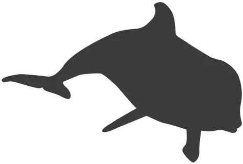 Dolphin Tail Silhouette Transparent Png U0026 Svg Vector File Real Dolphin Transparent Background Dolphins Png