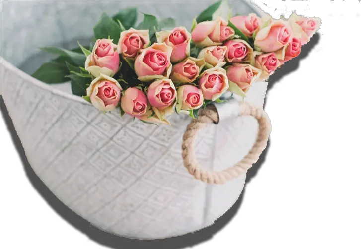 Pink Rose Flower Background Hd Beautiful Good Morning Jumma Mubarak Png Rose Png Hd