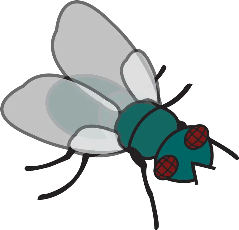 Pin Fly Clipart Clipart Of Fly Full Size Png Download Fly Clipart Fly Png