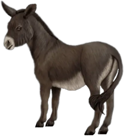 Free Transparent Png Images Schleich Paarden Shetlander Zwart Donkey Png