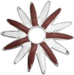 Brown White Flower Cut Flowers Png White Flower Transparent