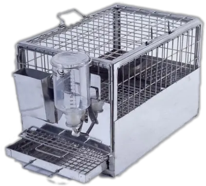 Guinea Pig Cage Standard Type New Meditech Guinea Pig Cage India Png Steel Cage Png