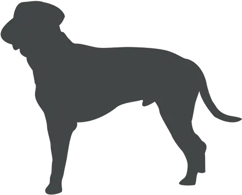 Download Vector Dog Silhouette Posing Ears Up Vectorpicker Perro De Lado Png Dog Silhouette Png
