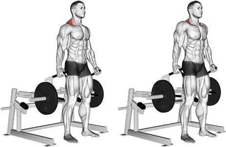 Exercise Database Shoulders25 Lever Shrugs U2014 Jase Stuart One Arm Shoulder Press Png Shrug Png