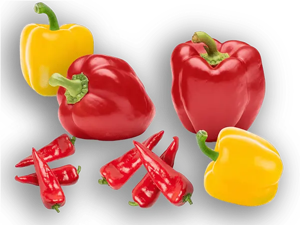 Logos Illustrations And Branding Bell Pepper Png Vegetables Transparent