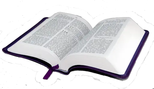 Cropped Transparent Background Bible Png Open Bible Png