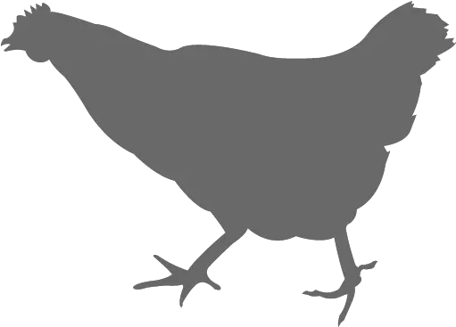 Chicken Vector Graphics Silhouette The Broad Chicken Png Desi Chicken Chicken Png