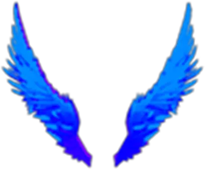 Blue Flame Wings Ailes Roblox Png Fire Wings Png