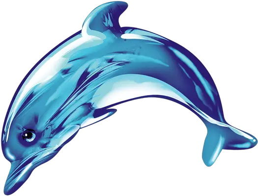 Common Bottlenose Dolphin Icon Cute Dolphin Png Dolphin Transparent