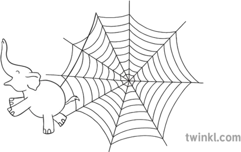 Ks1 Smiley Elephant Spider Web Png Hd Spider Webs Png