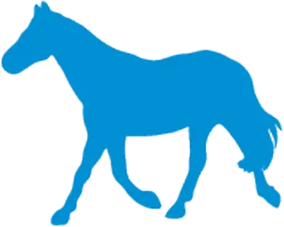 Horse Anatomy Wikivet English Horse Blue Png Horse Logo Png