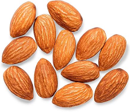 Almond Png Almond Seeds Png Seed Png