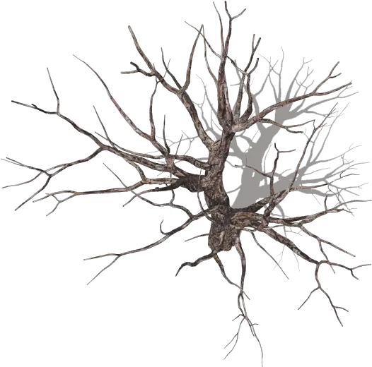 Dundjinni Mapping Software Dead Tree Top View Png Tree From Above Png